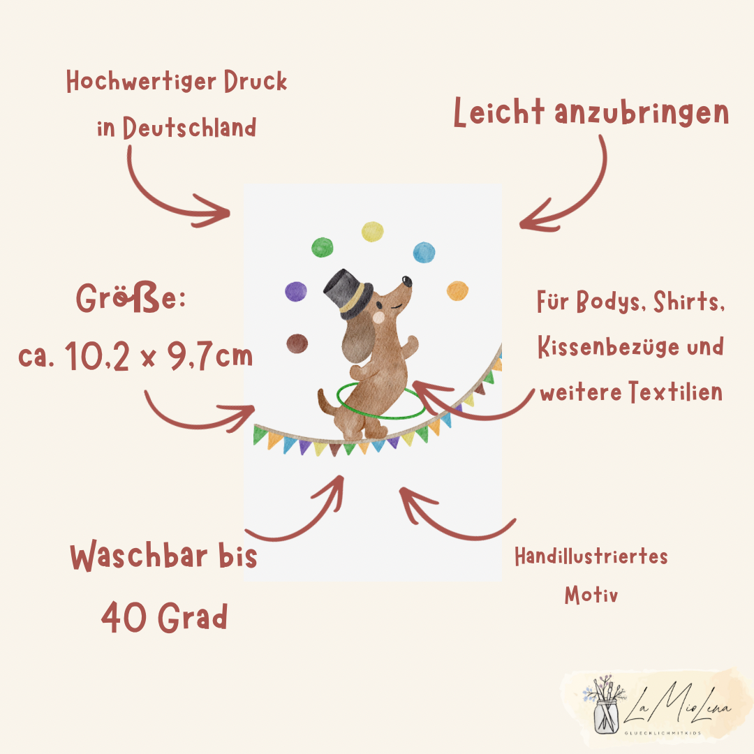 Bügelbild Zirkusdackel